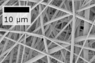 Journal of the Mechanical Behavior of Biomedical Materials：基于微观结构和单纤维特性预测电纺膜的宏观响应