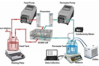 香港大学汤初阳教授J. Membr. Sci.：疏水性PVDF纳米纤维膜在直接接触膜蒸馏中的出色抗湿性能