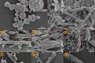华侨大学黄昀昉&魏月琳Ceram. Int.：Bi2WO6/TiO2异质纳米纤维的制备及其增强的可见光催化活性