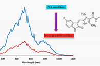 Talanta：Ni0.5Zn0.5Fe2O4纳米粒子修饰聚乙烯醇纳米纤维作为共振光散射探针测定血清样品中的舒尼替尼