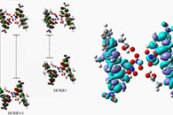 ACS Appl. Mater. Interfaces：掺入光敏镧（III）配合物的电纺纤维的结构和电子表征及其用作磷酸酯催化剂