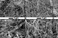 Ind. Eng. Chem. Res.：Sr-La-Ce氧化物电纺纳米纤维的合成与表征及其作为甲烷氧化偶联的催化剂