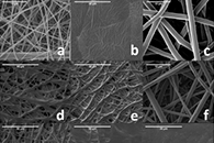 Polymer：自增强纳米标量聚己内酯-聚对苯二甲酸乙二醇酯共混物的电纺纤维