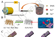 J. Colloid Interface Sci.：FeNi合金纳米粒子嵌入电纺氮掺杂碳纤维中以进行有效的析氧反应