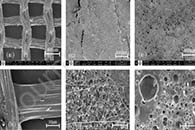 Process Saf. Environ. Prot.：木屑填充聚苯乙烯纳米纤维作为分离垫用于分离溢油