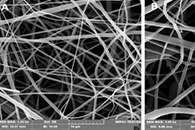 J. Drug Deliv. Sci. Technol.：接种GDNF基因修饰脂肪干细胞的载鸸鹋油电纺纳米纤维用于脊髓损伤后的轴突再生