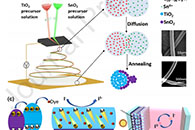 兰州大学周金元J. Colloid Interface Sci.：不对称SnO2/TiO2并列双组分纳米纤维用作染料敏化太阳能电池光阳极：促进电子传输并增强载流子分离