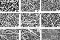 天津工业大学徐志伟J. Colloid Interface Sci.：含可调半离子C-F键的富氮碳纳米纤维，可作为钠离子电池的高性能负极