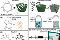 Mater. Sci. Eng. C：静电纺丝制备阿昔洛韦/环糊精纳米纤维，用于快速溶解抗病毒药物