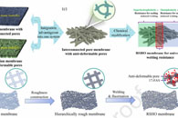 哈尔滨工业大学王威J. Membr. Sci.：具有抗变形孔的超疏水-超疏液膜在膜蒸馏中的出色抗湿性能