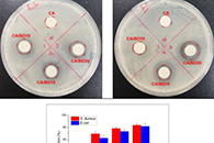 Int. J. Biol. Macromol.：生物活性艾纳香油负载醋酸纤维素纳米纤维的制备、表征及体外生物相容性研究
