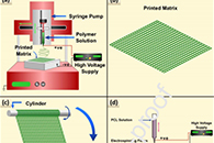 上海大学张海光Int. J. Biol. Macromol.：明胶基仿生三层导管的高分辨率组合3D打印，用于神经组织工程