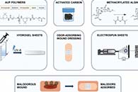 Macromol. Mater. Eng.：含活性炭的PEG基水凝胶作为治疗恶臭伤口的新型候选敷料