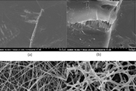 J. Taiwan Inst. Chem. E.：静电纺丝法制备固体聚合物电解质