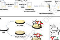 Bioelectrochemistry：GCE/CeNF/Nafion电极的制备及其在检测TNF-α中的应用