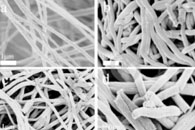 杭州电子科技大学董林玺&福州大学杨尊先&复旦大学余学斌J. Alloys Compd.：多孔PAN/S纳米纤维的制备及其在锂硫电池中的应用