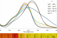 Int. J. Biol. Macromol.：姜黄素负载CS/PEO纳米纤维智能包装可实时监测鸡胸肉的新鲜度