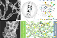 Advanced Materials:破茧化蝶——电纺丝制备多级孔纳米网络纤维燃料电池催化剂
