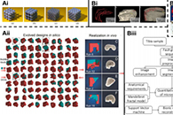 Bio-des. Manuf.：3D打印制备用于血管再生的组织工程支架