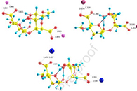 Int. J. Biol. Macromol.：抗衡阳离子取代对海藻酸盐分子间和分子内氢键及其静电纺丝性能的影响
