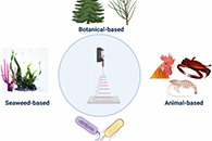 Int. J. Biol. Macromol.：基于植物、海藻、微生物和动物源生物大分子的电纺丝纤维及其多维应用