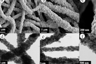 Int. J. Hydrogen Energy：一维水合多孔磷酸钴纤维网络的静电纺丝制备及其在碱性和中性介质中的OER电催化性能