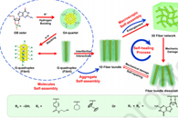 郑州轻工业大学刘春森J. Colloid Interface Sci.：核壳鸟嘌呤核苷-硼酸盐水凝胶的自愈合机理及生物电化学界面性质