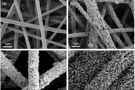 浙江理工大学李妮Fibers Polym.：PAN/Ag/ZnO微孔膜的制备及其可见光光催化性能研究