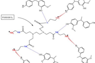 Molecules：木质素/树枝状聚合物电纺共混纤维垫的制备与表征