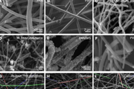 东华大学丁彬教授团队Advanced Fiber Materials：探寻影响碳纳米纤维强度的关键因素