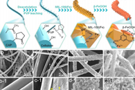 陕西科技大学段超&沈梦霞Carbohydr. Polym.：芯鞘结构纤维素基β-FeOOH@MIL-100（Fe）/CeP ENM的制备及其对油乳液、染料和Cr（VI）的同时去除性能
