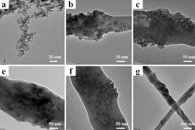 Sci. Total Environ.：赤铁矿和四正丁基溴化铵掺杂聚丙烯腈复合纳米纤维的制备及其在磷酸盐去除中的应用
