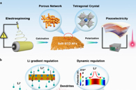 东华大学闫建华&丁彬ACS Nano：柔性BaTiO3陶瓷纳米纤维膜机电耦合效应对锂枝晶生长的动态调控