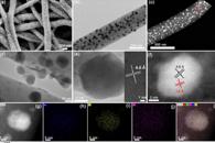 江南大学朱罕Adv. Fiber Mater：电纺碳纳米纤维-二元金属硫化物的原位制备及其在电催化水分解中的应用