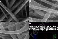 J. Ind. Eng. Chem.：Co-Cu双金属合金掺杂碳纳米线作为高效双功能电催化剂的理论和实验研究