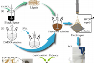 陕西科技大学侯晨&张素风&王阳Int. J. Biol. Macromol.：木质素基双金属MOFs纳米纤维复合膜在太阳光照射下高效降解全氟辛酸的研究