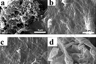 Carbohydr. Polym.：钙交联PLCN用作胆固醇和胆盐的有效生物吸附剂
