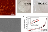 Compos. Sci. Technol.：以纤维素纳米纤维为基材制备柔性可生物降解湿度传感器