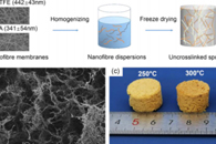 江南大学邓炳耀&李大伟Fibers Polym.：PTFE/PI纳米纤维复合海绵的制备与表征