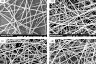 Fibers Polym.：草药提取物负载CS/PEO纳米复合材料的制备及其作为骨科植入物的抗菌涂层