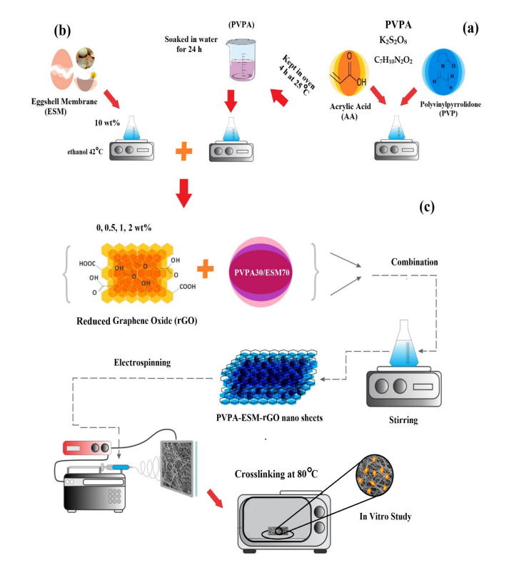 Polymers：PVPA-ESM/rGO纳米纤维的制备与表征及其组织工程应用