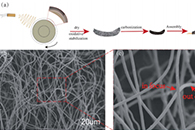 吉林农业大学李士军&程志强RSC Adv.：基于三维电纺碳纳米纤维的柔性高灵敏FeOCN压力传感器