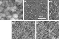 Nanomaterials：静电纺丝参数对PVP/TiO2纳米纤维的影响