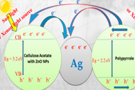 Polymers：环境兼容性Ag/ZnO聚合物纳米纤维的制备及其光催化降解孔雀石绿染料性能