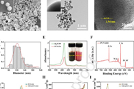 北京科技大学朱竹&温永强Carbohydr. Polym.：构建含百里酚负载卟啉金属有机骨架纳米粒子的电纺PUL/PVA纳米纤维用于抗菌食品包装