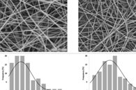 Nanomaterials：乳液静电纺丝制备白屈菜负载PCL/PVA_PEC纳米纤维网及其在抗菌伤口敷料中的应用
