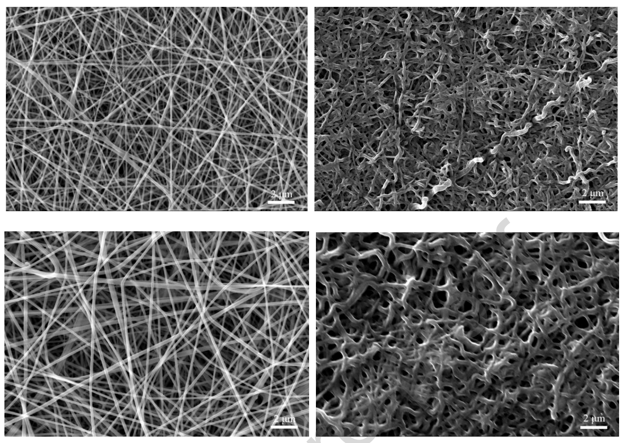 北京邮电大学理学院J. Alloys Compd.：新型FeNi-FeCo-C CNFs的制备及其作为水分解析氧电催化剂的应用