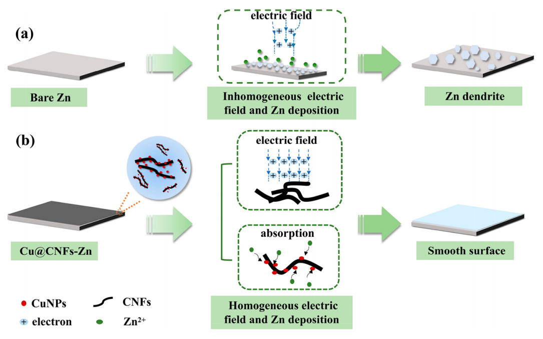 吉首大学吴贤文ACS Sustain. Chem. Eng.：构建具有丰富亲锌位点的Cu@CNFs涂层用于稳定锌负极