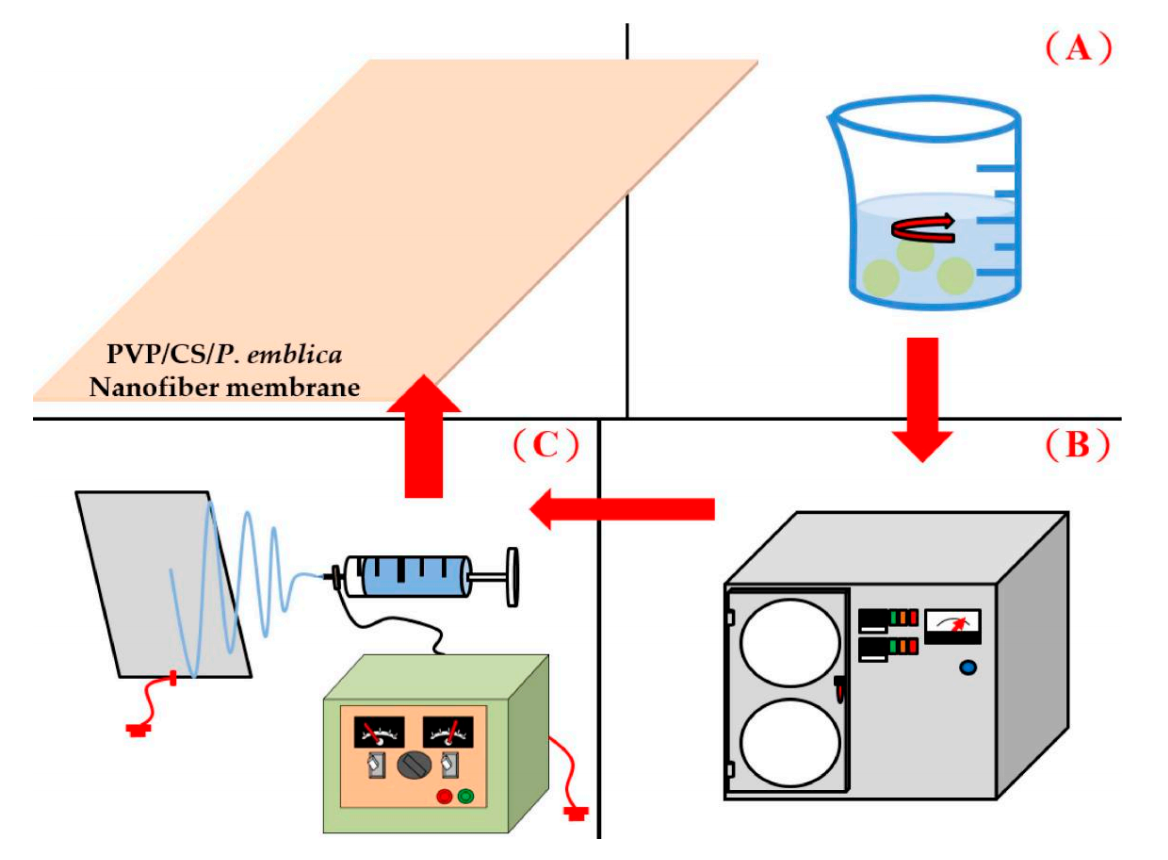 闽江学院许炳铨&林佳弘&楼静文Polymers：PVP/CS/余甘子纳米纤维干式面膜的制备工艺及作用评估