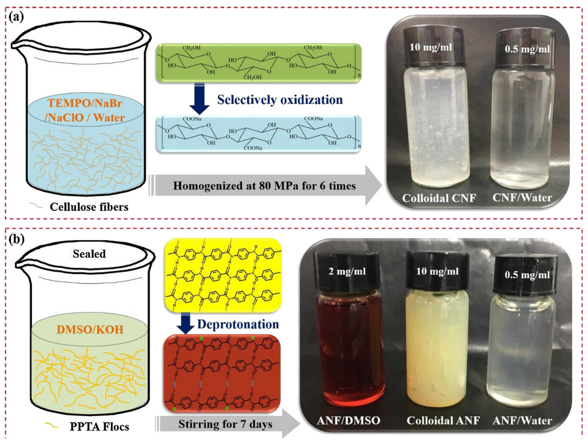 陕西科技大学杨斌Carbohydr. Polym.：芳纶纳米纤维和纤维素纳米纤维的比较研究